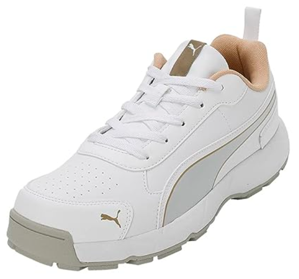  Puma Men's Cricket Shoe