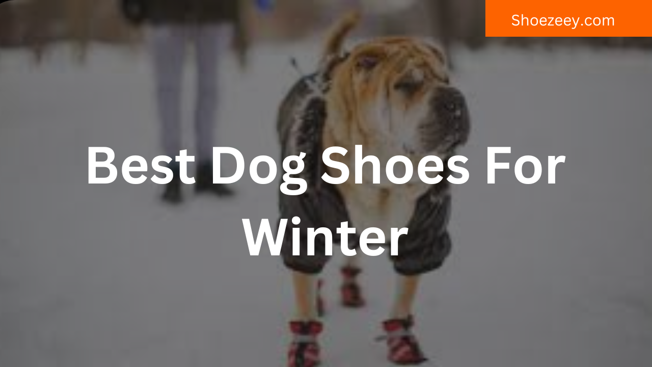 Best Dog Shoes For Winter