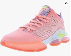 Nike Lebron Low Basketball Shoes