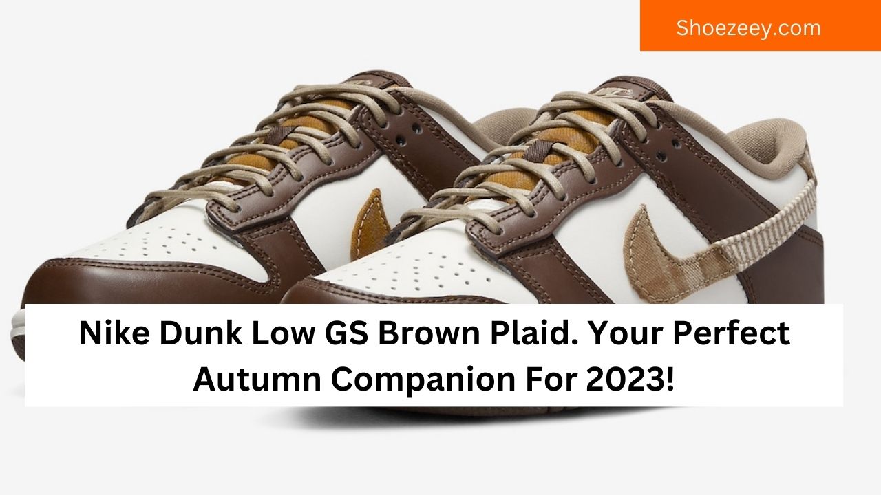 Nike Dunk Low GS Brown Plaid. Your Perfect Autumn Companion For 2023!