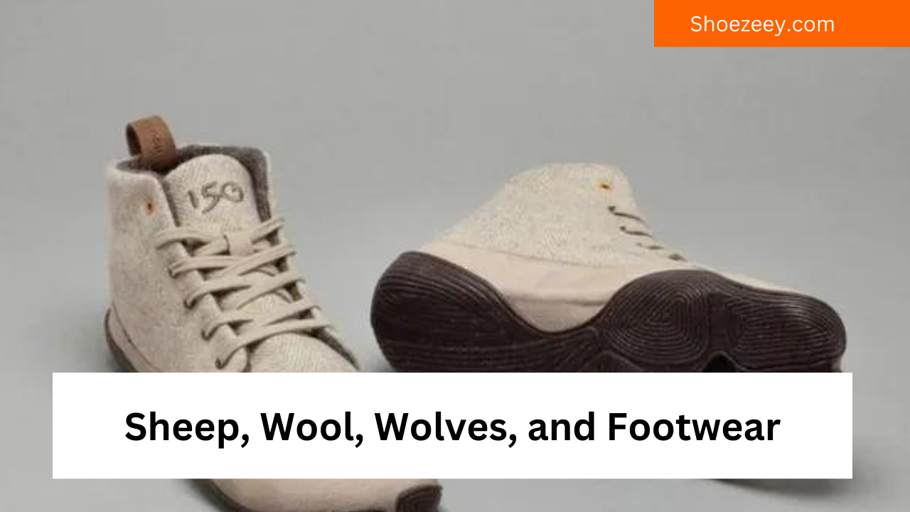 Sheep, Wool, Wolves, and Footwear